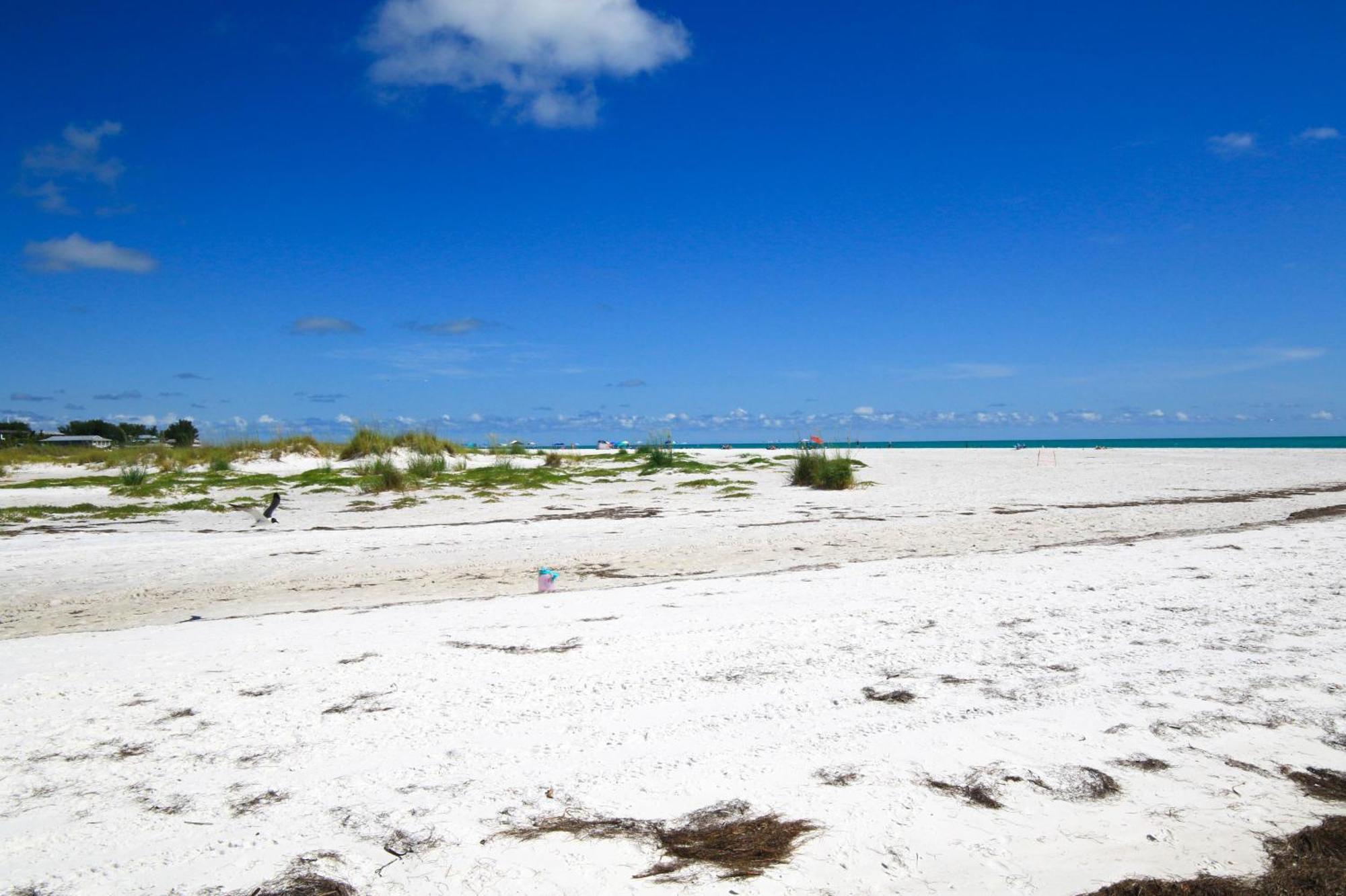 Anna Maria Island Runaway Tropical Dream-One Minute Walk To The Beach-Heated Pool Bradenton Beach Bagian luar foto